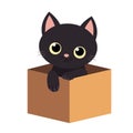 Black cat inside opened cardboard package box. Adopt me. Pet adoption. Kitten with big yellow eyes. Flat design style. Help