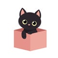 Black cat inside opened pink cardboard package box. Adopt me. Pet adoption. Kitten with big yellow eyes. Flat design style. Help