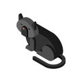 Black cat Isometrics. Home pet 3d. Vector illustration