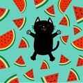 Black cat jumping or making snow angel. Watermelon slice icon cut with seed Triangle fruit cut. Hello Summer Cute cartoon characte Royalty Free Stock Photo