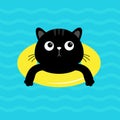 Black cat kitten floating on yellow pool float water circle. Hello Summer. Top air view. Swimming pool sea ocean water. Lifebuoy. Royalty Free Stock Photo