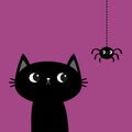 Black cat kitten. Hanging spider. Happy Halloween. Bones text font. Bone letter type. Cute cartoon kawaii character. Pet baby