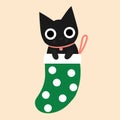 Black cat with large eyes sitting inside a green Christmas stocking with white dots. Royalty Free Stock Photo