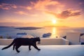 A black cat on a ledge at sunset at Fira town, with view of caldera, volcano and cruise ships, Santorini, Greece. Royalty Free Stock Photo