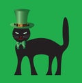 Black Cat in the Leprechaun hat. Poster St. Patrick`s Day