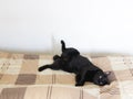 Black cat lie down on bed Royalty Free Stock Photo