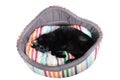 A black cat lies curled up in a circle on a multi-colored mat. On white clipping background Royalty Free Stock Photo