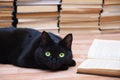 Black cat lies on the floor next to an open book. Books in the background.Coseup Royalty Free Stock Photo