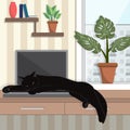 Black cat lies and sleeps on a laptop, on a working place in the room