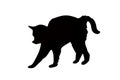 Black cat logo on white background