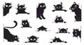 Black cat looking. Peeking cats silhouettes with big eyes. Playful muzzle, creative kitty peeping from corner. Spy pets