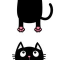 Black cat looking up. Funny face head silhouette. Hanging fat body paw print, tail. Kawaii animal. Baby card. Cute cartoon charact Royalty Free Stock Photo