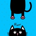 Black Cat Looking Up. Funny Face Head Silhouette. Meow Text. Hanging Fat Body Paw Print, Tail. Cute Cartoon Character. Kawaii