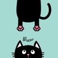 Black cat looking up. Funny face head silhouette. Meow text. Hanging fat body paw print, tail. Kawaii animal. Baby card. Cute cart Royalty Free Stock Photo