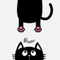 Black Cat Looking Up. Funny Face Head Silhouette. Meow Text. Hanging Fat Body Paw Print