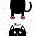 Black Cat Looking Up. Funny Face Head Silhouette. Meow Text. Hanging Fat Body Tail. Kawaii Animal. Baby Card. Cute Cartoon Charact