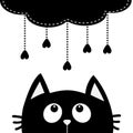 Black Cat Looking Up To Cloud With Hanging Heart Rain Drops.