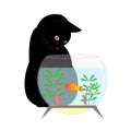 A black cat looks at a goldfish in an aquarium. Cute black cat near the aquarium. Vector illustration isolated