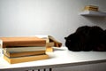 Black cat lying on a white table next to a stack of books Royalty Free Stock Photo