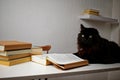 Black cat lying on a white table next to a stack of books. The cat is reading a book Royalty Free Stock Photo