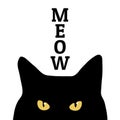 Black cat and meow inscription. Print on clothes