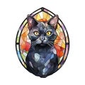 A Black Cat with Multi-Colored Geometric Stained Glass Royalty Free Stock Photo