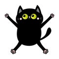 Black cat nail claw scratch. Falling down kitten. Green eye. Cute cartoon kawaii funny character. Excoriation track line shape.