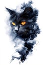 A black cat with orange eyes in the smoke Royalty Free Stock Photo