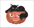 Black cat on orange pumpkin