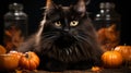 A black cat with orange pumpkins in halloween night Royalty Free Stock Photo