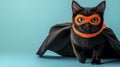 Black cat in orange superhero mask and cape against blue background Royalty Free Stock Photo