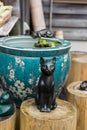 Black cat ornament in garden Royalty Free Stock Photo