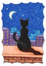 Black cat on the parapet of the house at night and the moon