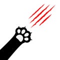 Black cat paw print leg foot. Bloody claws scratching animal red scratch scrape track.