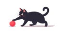 Black cat playing with a red ball isolated on white background. Flat illustration for web. Image for animal shelters