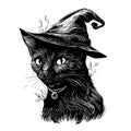 Black cat with pointy witch hat l Royalty Free Stock Photo