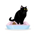 Black cat pooping on a potty