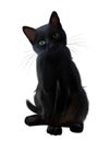 Black Cat. Portrait. Watercolor Drawing