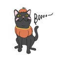 Black cat in pumpkin Halloween costume cartoon illustration Royalty Free Stock Photo