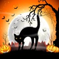 Black cat with pumpkin halloween on the full moon