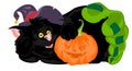 Halloween black cat