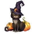 Black cat with pumpkins. Halloween illustration. Royalty Free Stock Photo