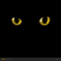 Black cat realistic yellow eyes in darkness. Vector illustration