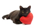 Black cat and red heart Royalty Free Stock Photo