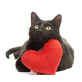 Black cat and red heart Royalty Free Stock Photo