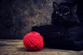 Black cat with a red wool ball in a bag against an old wall Royalty Free Stock Photo