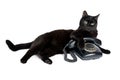 Black cat and retro black phone on a white Royalty Free Stock Photo