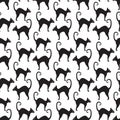 Black cat seamless pattern. Cats repetitive texture. Halloween endless background. Vector illustration. Royalty Free Stock Photo