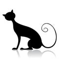 Black cat silhouette Royalty Free Stock Photo