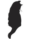 Black cat silhouette Royalty Free Stock Photo